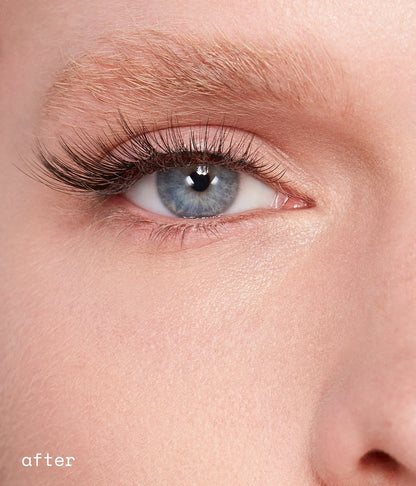 dream lashes
