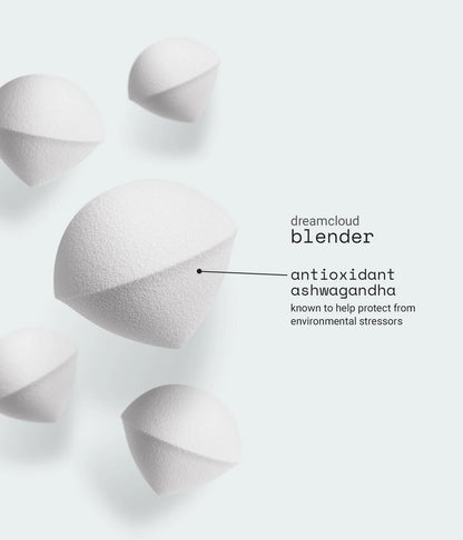 blender sponge