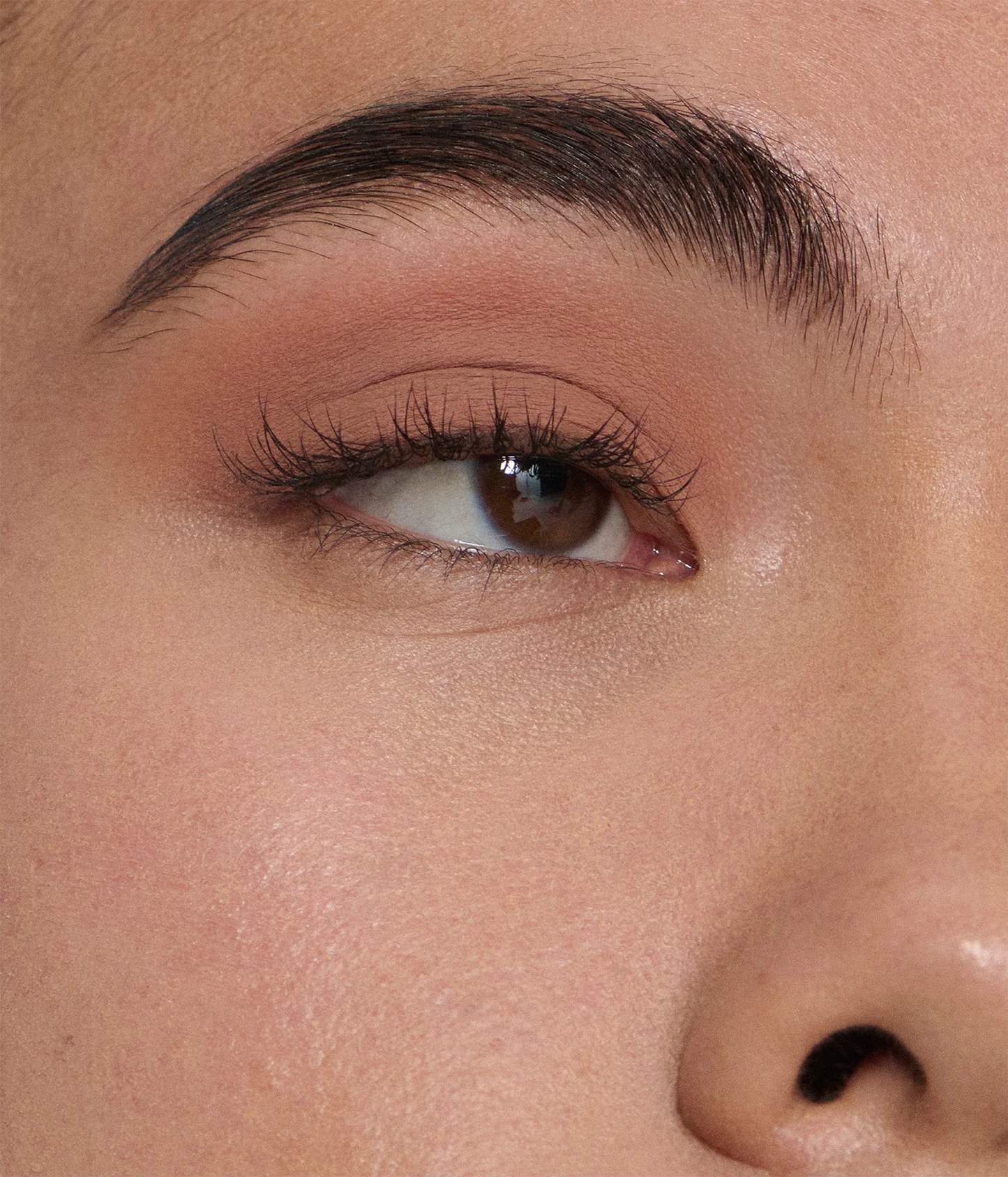 starlet matte liquid eyeshadow