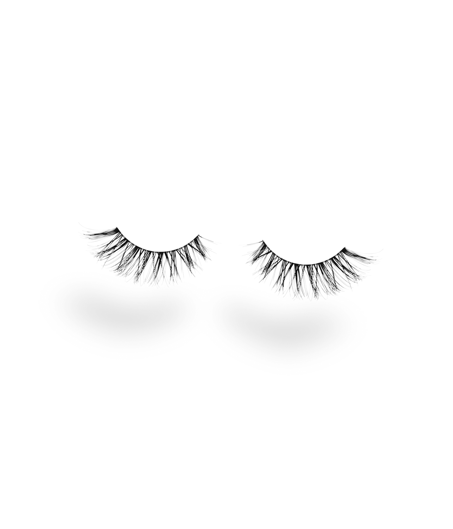 dream lashes