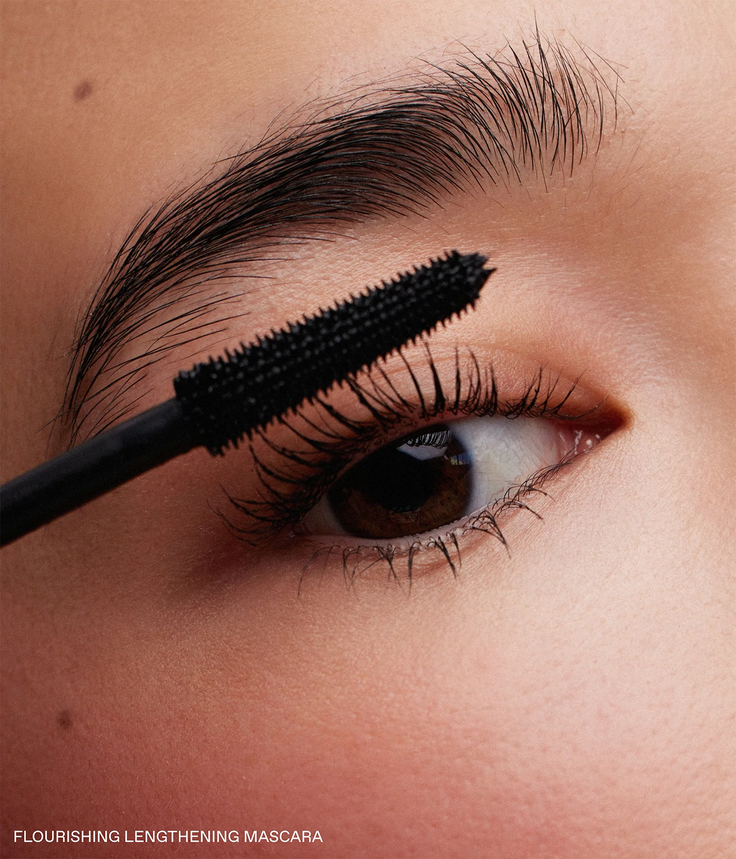 ari's signature eye trio